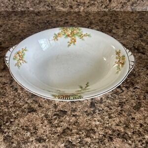 Antique Floral Oval Carrollton China Serving Bowl Dish See ALL Pictures